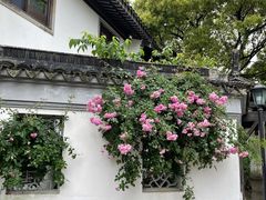 -苏州东山雕花楼宾馆