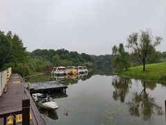-南湖湿地公园