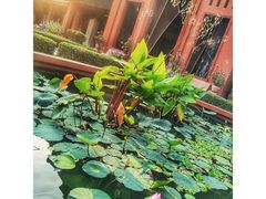 -柬埔寨国家博物馆