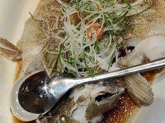 -丰收日(五角场店)