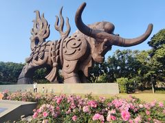 -四海公园(南山区)
