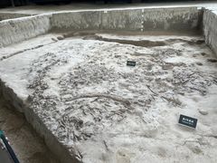 -金沙遗址博物馆