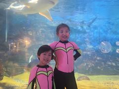 -烟台海昌鲸鲨海洋公园