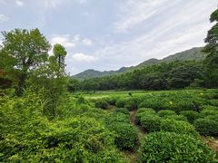 -法云古村