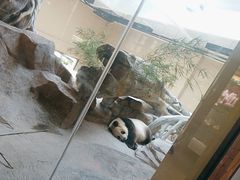 -宁波野生动物园