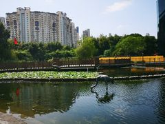 -苏州河梦清园环保主题公园