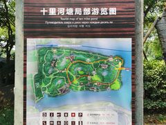 -绍兴镜湖国家城市湿地公园
