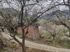 -广州市流溪河国家森林公园