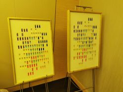 包房-彩虹之门健康管理