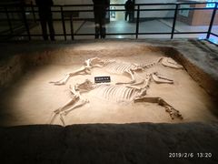 -洛阳周王城天子驾六博物馆