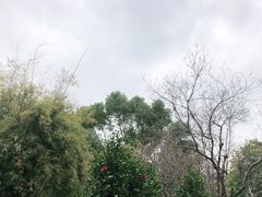-晓港公园
