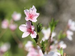 -朝阳公园