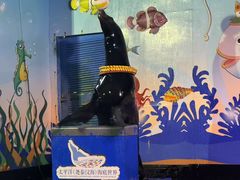 -太平洋海底世界