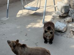 -保定市动物园