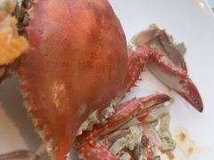 -赶海部落海鲜城(海阳路店)