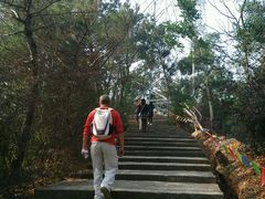 -仙岳公园