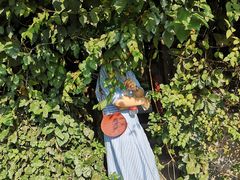 -斯多格书乡(北京大学畅春园店)