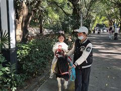 -深圳野生动物园