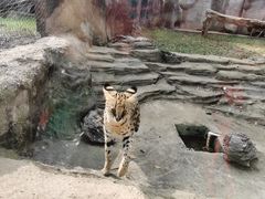 -杭州野生动物世界