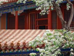 -故宫博物院(故宫)