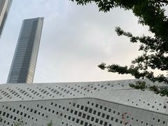 -南京国际青年文化中心