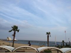 -碧海金沙
