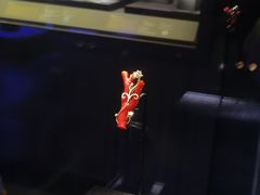 -湖南省地质博物馆