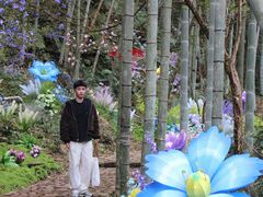 -龙湾潭国家森林公园