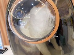 -瑞鹏宠物医院·骨科·猫科·内科(第一中心)