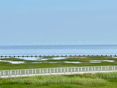 -南汇嘴观海公园