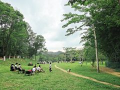 -田心森林公园