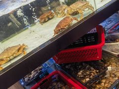 -天鹰观渔(梦园店)