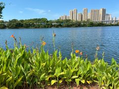 -厦门园林博览苑