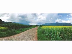 -蘑统田下·野生菌火锅