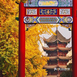 今日虔诚一日游