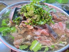 -小杨翘脚牛肉