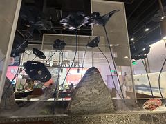 -新辣道鱼火锅(航天万源店)