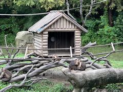 -上海野生动物园