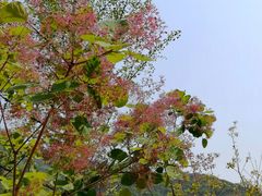 -北京十三陵国家森林公园蟒山景区