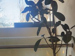 -苦尽酒馆·川菜(鼓楼店)