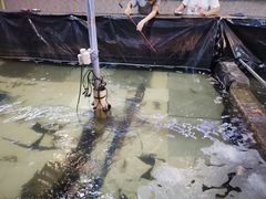 -小象钓虾·营地烧烤(洛溪店)