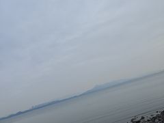 -深圳湾公园(南山区)