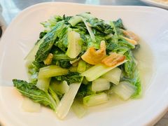 -八万人体育馆-外场足球场