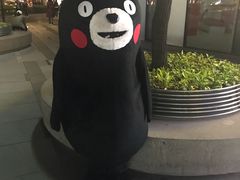-海盗虾饭·剥好的小龙虾饭(SOHO尚都店)