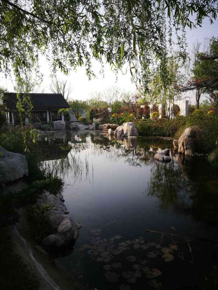 赛石花朝园-"欢乐(⊙o⊙)…海岸城乡亲╭(╯3╰)╮."-大众点评移动版