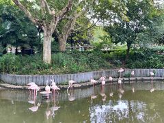 -听松楼·花园酒店·自助餐厅(红梅公园店)
