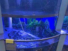 -七欣天香辣蟹火锅(上海银亿滨江店)