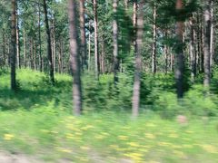 -塞罕坝国家级自然保护区