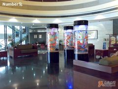 -文杏酒楼(一品天下店)