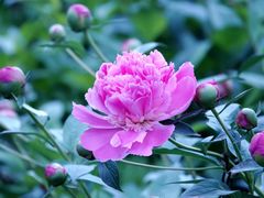 -国际非物质文化遗产博览园